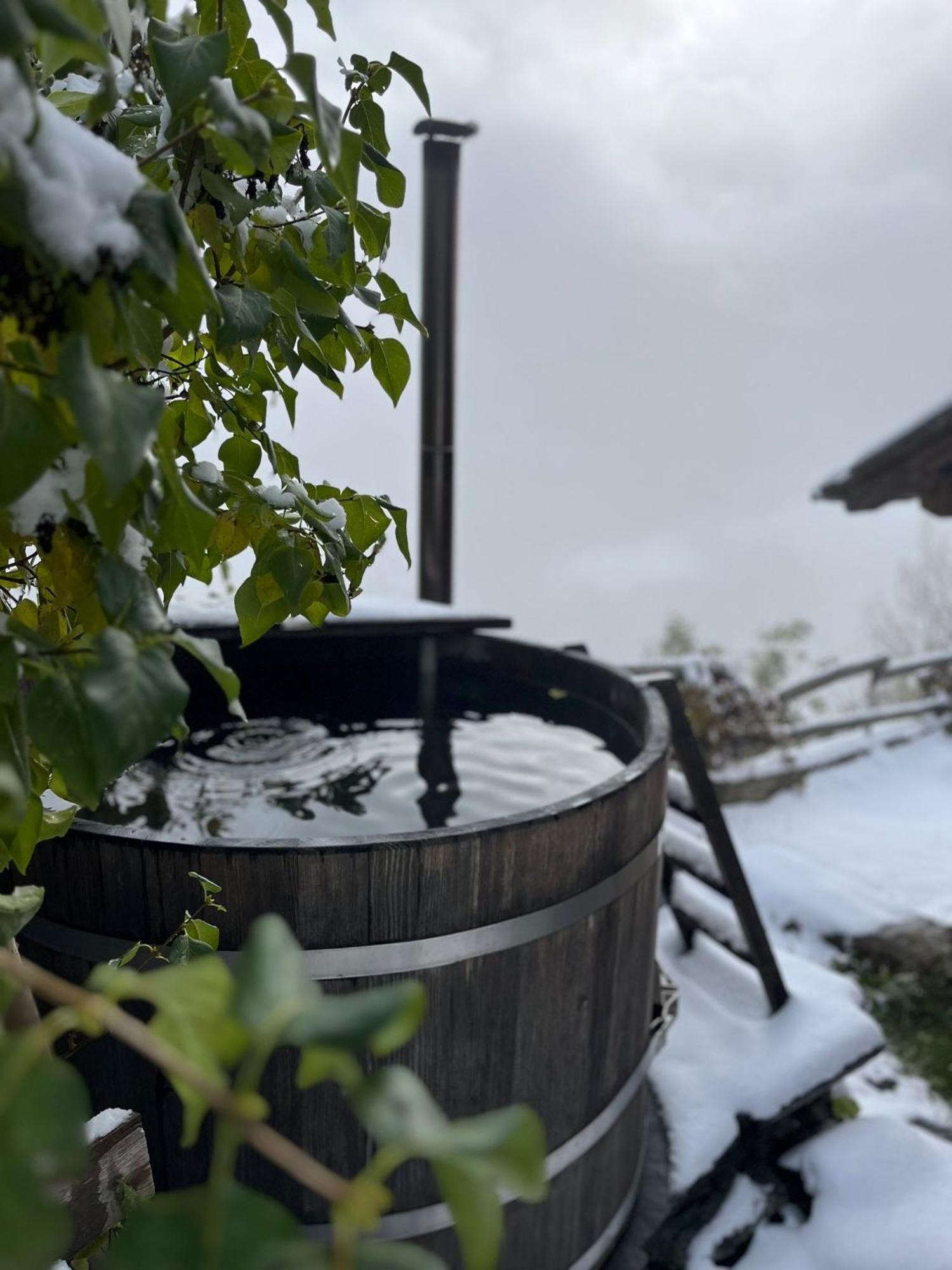 Chalet La Paz With Hotpot And Sauna Villa Torbel Luaran gambar
